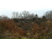 Міша Шкромида фотография #31 (источник - https://vk.com/id65454532)