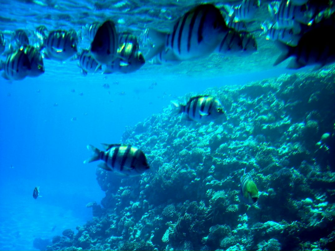 Владимир Исаев фотография #48