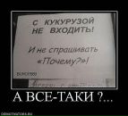 Вікторія Никитюк фотография #49 (источник - https://vk.com/id13791054)