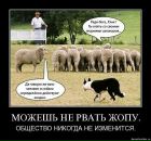 Олександр Коблюк фотография #50 (источник - https://vk.com/id22919258)
