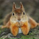 Фотография Белозеровой Евгении