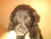 Надія Велика фотография #21 (источник - https://vk.com/id13428126)