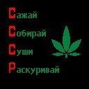 Андрій Безпалий фотография #35 (источник - https://vk.com/id67304804)