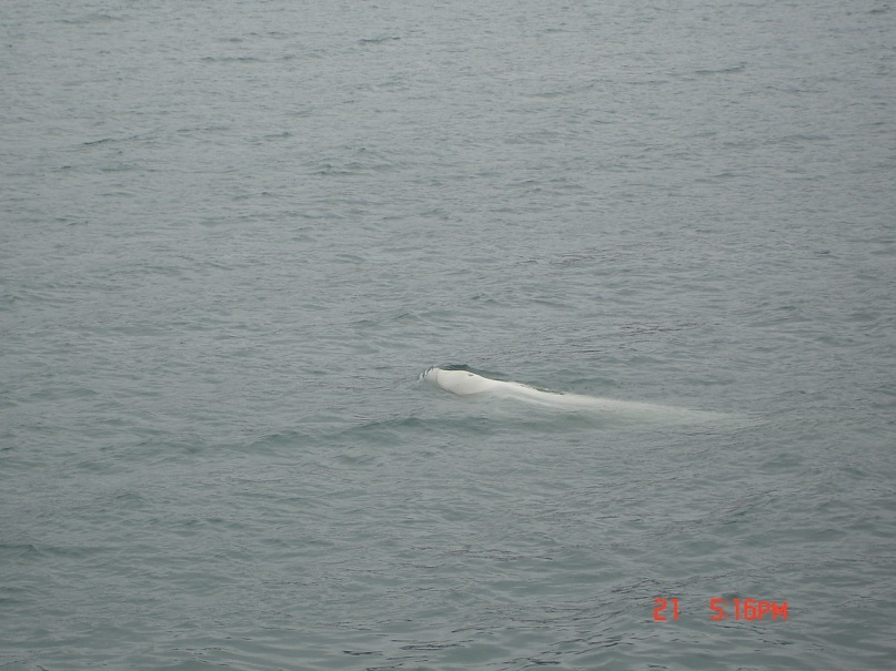 Иван Степаненко фотография #50