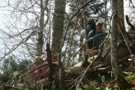 Дашка Мушка фотография #39 (источник - https://vk.com/id1863252)