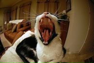 Ліля Кузік фотография #38 (источник - https://vk.com/id10807146)