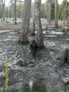 Сергій Гордіюк фотография #40 (источник - https://vk.com/id153838331)