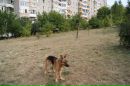 Сєрий Ковальчук фотография #30 (источник - https://vk.com/id151472703)