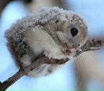 Фотография Святовца Алексея