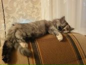 Фотография Насыбуллиной Гульнары