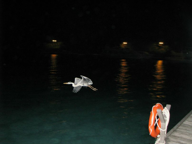 Софья К фотография #45