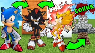 КАК МЕНЯЛСЯ СОНИК И ЕГО ЖИЗНЕННЫЙ ЦИКЛ В МАЙНКРАФТ ~ ЭВОЛЮЦИЯ СОНИКА В MINECRAFT SONIC